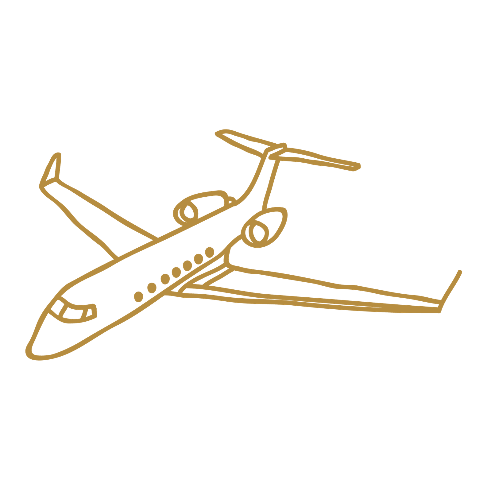 Airplane Icon