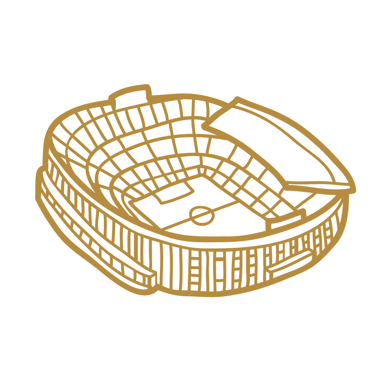 arena icon